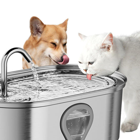 Cat-fountain